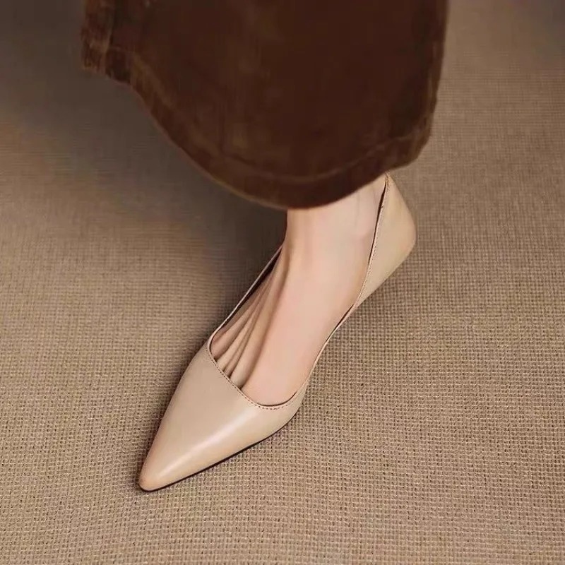 Women's Pointed Toe Stiletto H - огляд і ціна Women Shoes Heels